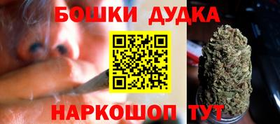 гидра Аргун