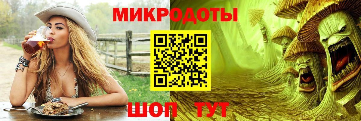 Псилоцибиновые грибы прущие грибы Владивосток